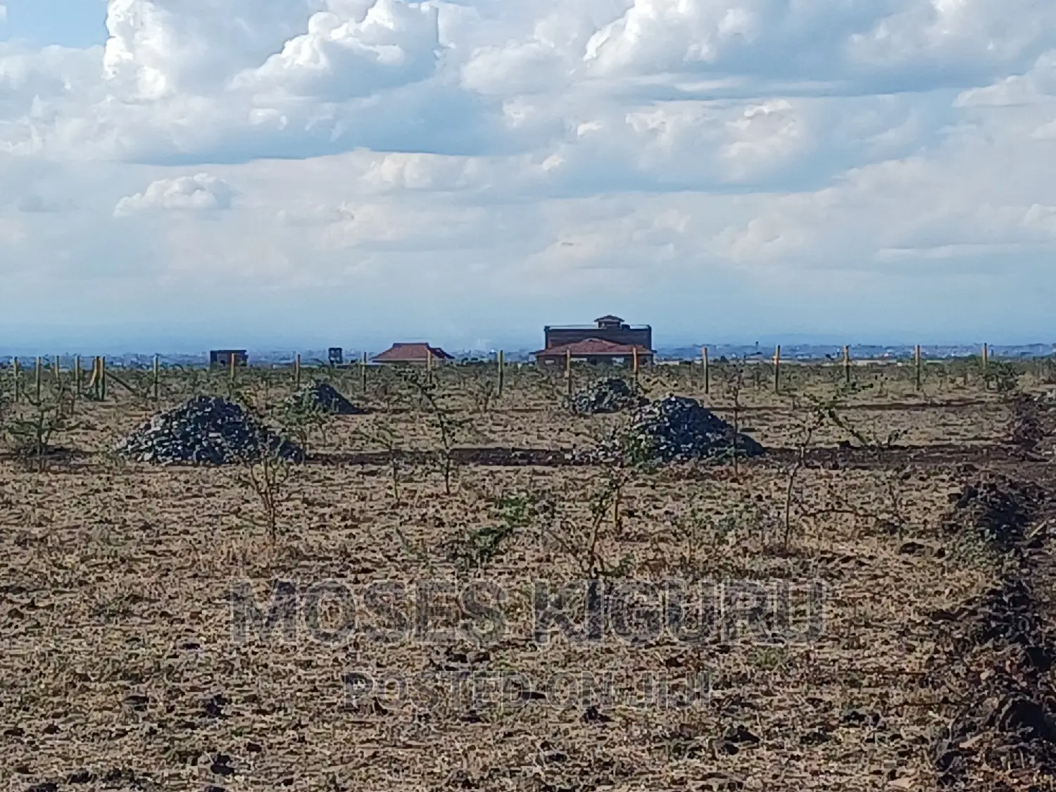 Mwalimu Farm, 50 X 100 Plots