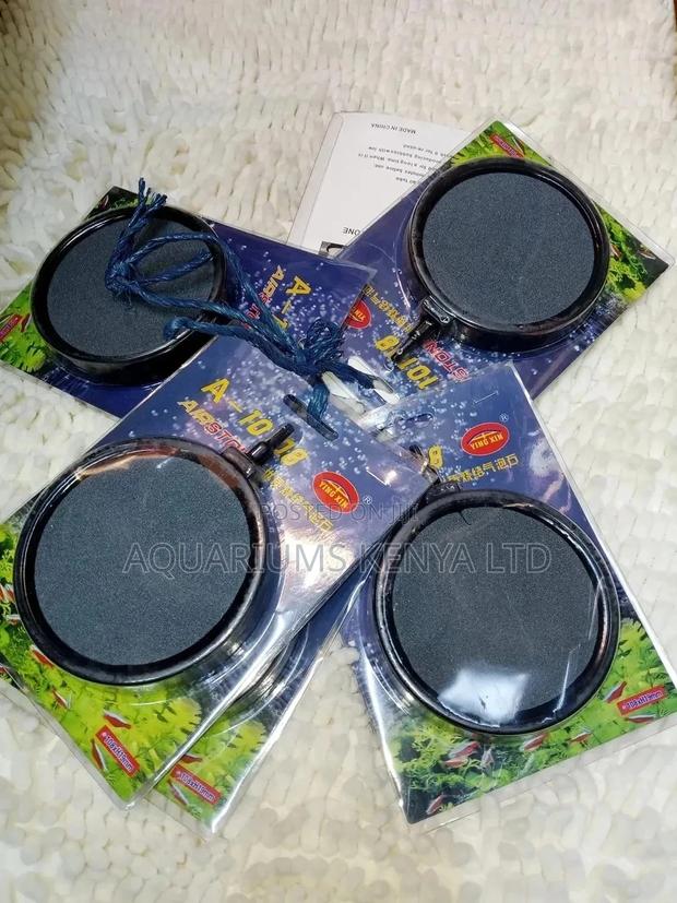 Air Stone Available Circular Nest - main view