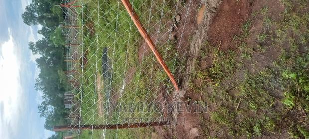 Plot for Sale Near Bondo TTI - thumbnail 5