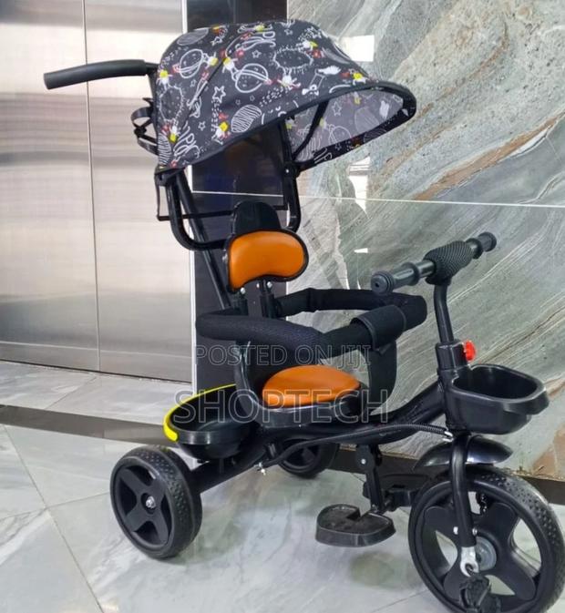Push Tricycle With Printed Canopy - main view
