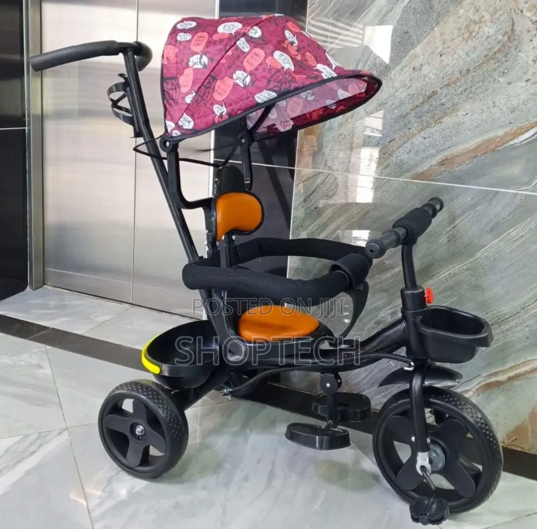 Push Tricycle With Printed Canopy
