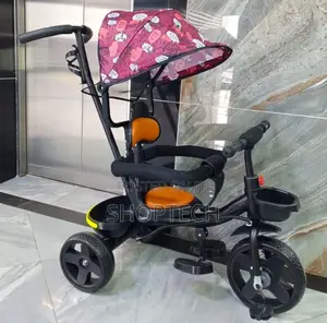 Push Tricycle With Printed Canopy