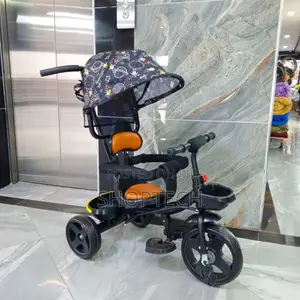 Push Tricycle With Printed Canopy