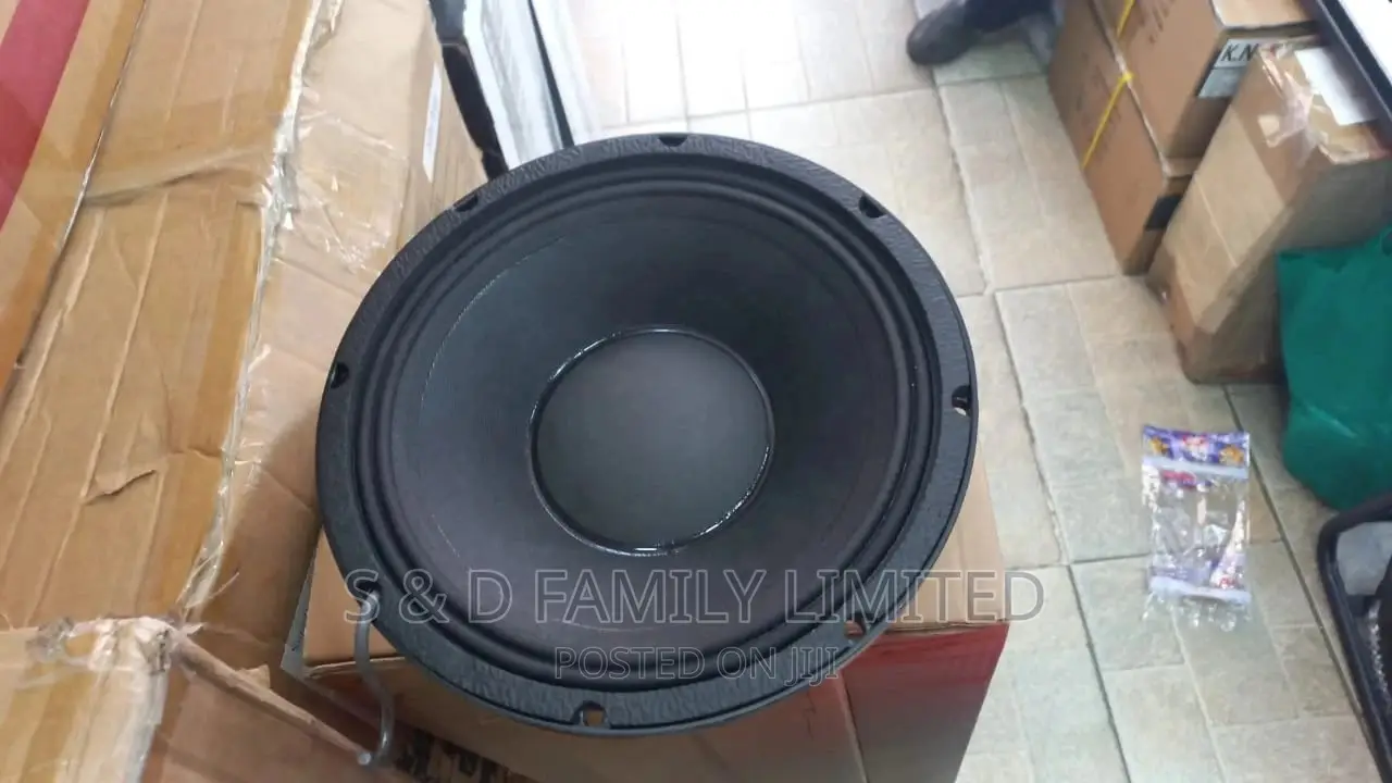 10 Inch NR 10WF335 Speaker