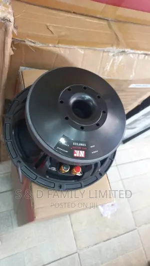 10 Inch NR 10WF335 Speaker