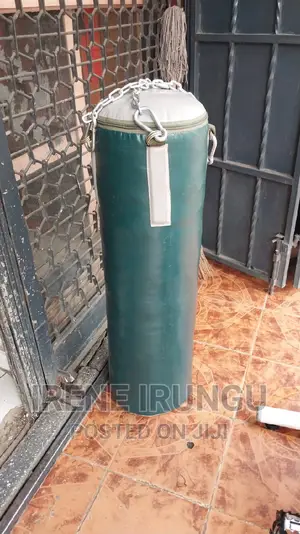 Hanging 40kg Punching Bag