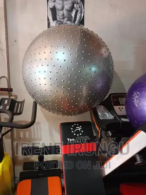 Spiked Gym, Swiss Ball