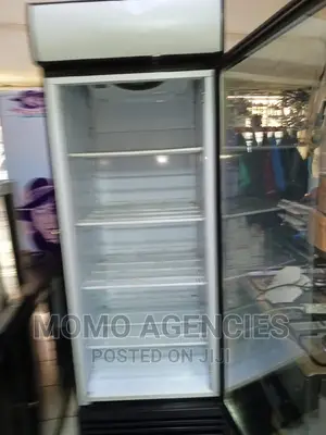 Ddisplay Fridge 650l