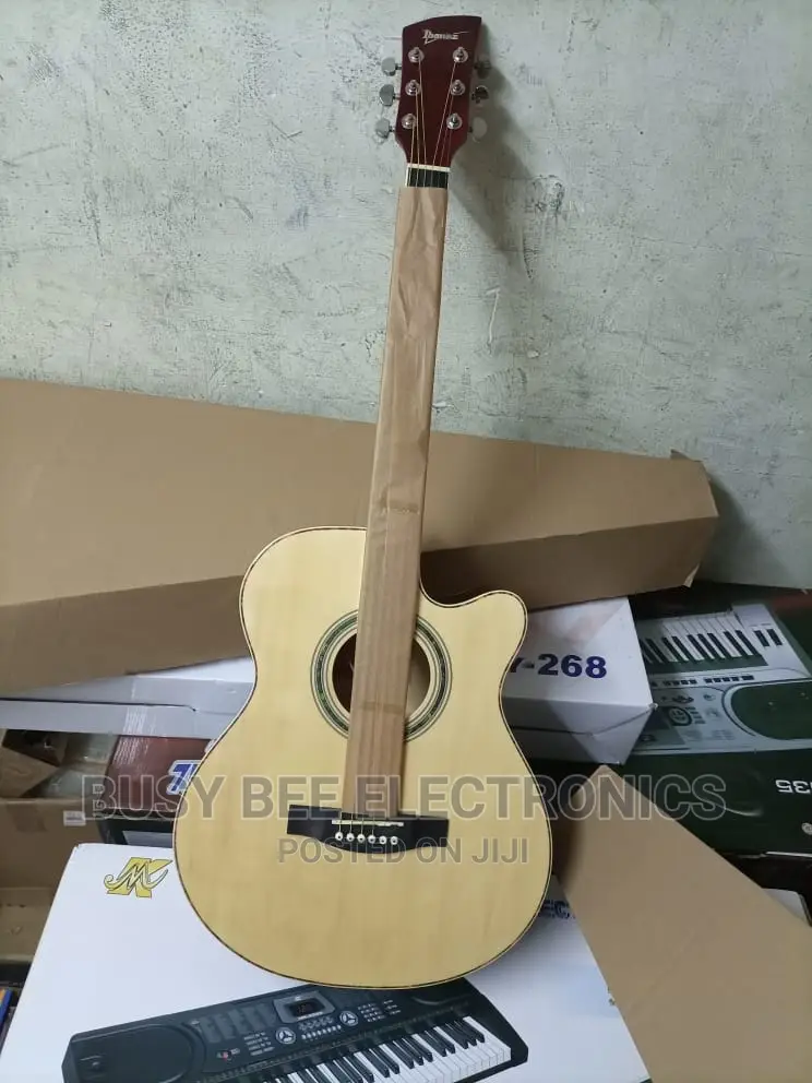 Ibanez Semi Acoustic Guitar
