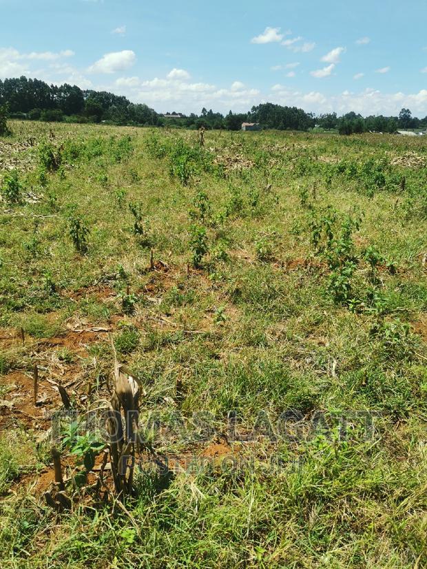 Eldoret Rivertex Segero Plots on Sale - thumbnail 6