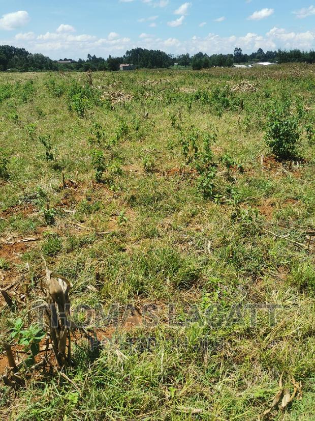 Eldoret Rivertex Segero Plots on Sale - thumbnail 2