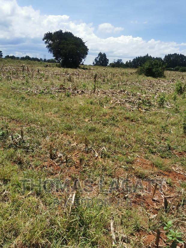 Eldoret Rivertex Segero Plots on Sale - main view