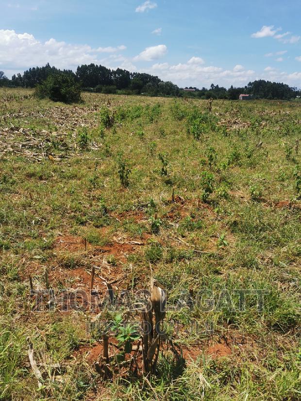 Eldoret Rivertex Segero Plots on Sale - thumbnail 7