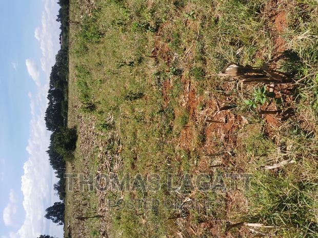 Eldoret Rivertex Segero Plots on Sale - thumbnail 4