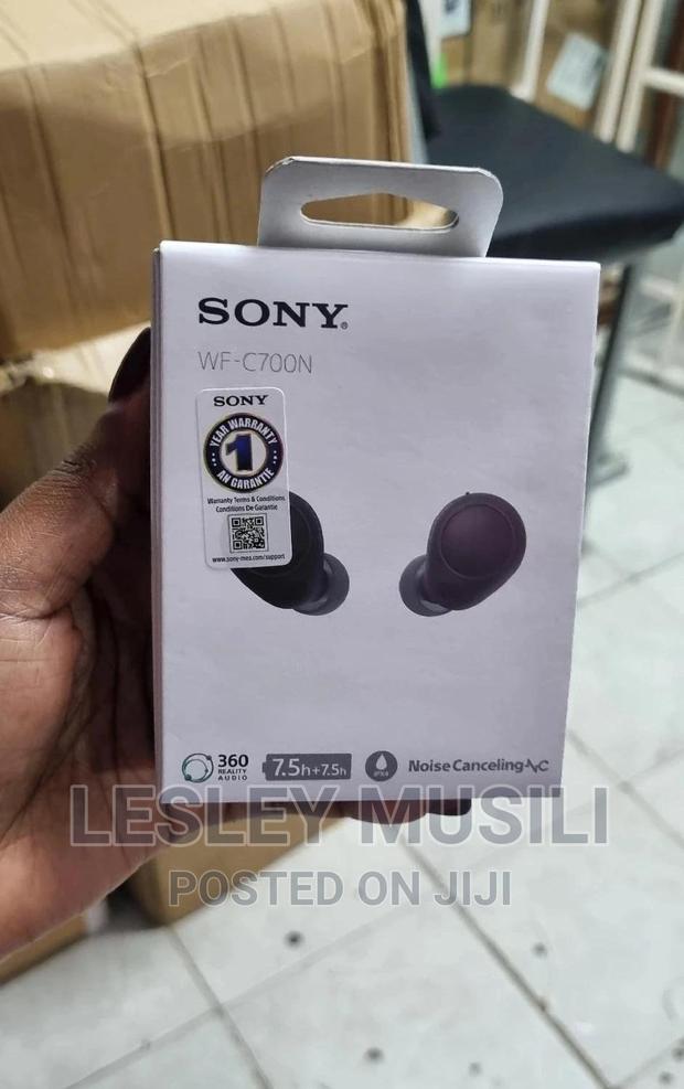Sony WF-C700N Wireless, Bluetooth, Noise Cancelling Earbuds - main view