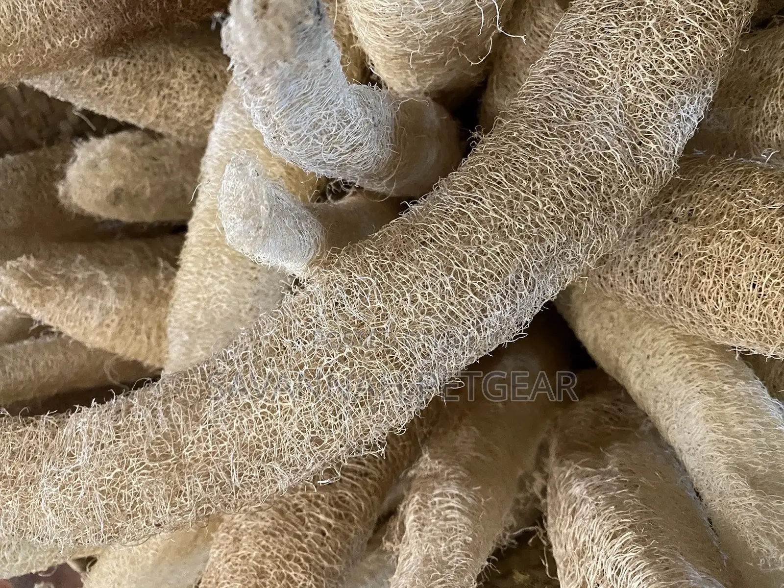 Natural Shower Loofah Sponges Large Whole Organic Luffa - 2 Pieces