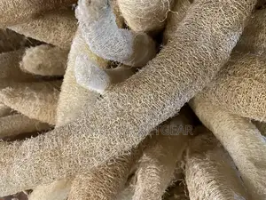 Natural Shower Loofah Sponges Large Whole Organic Luffa - 2 Pieces