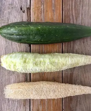 Natural Shower Loofah Sponges Large Whole Organic Luffa - 2 Pieces
