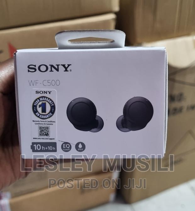 Sony WF-C500 True Wireless in-Ear Bluetooth Earbud - main view