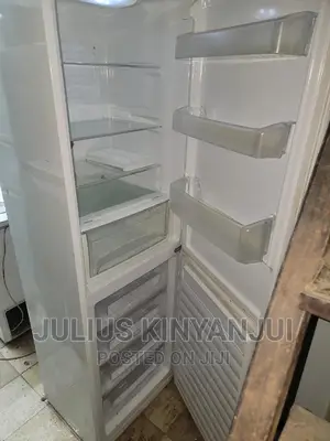 Bottom Freezer Fridge