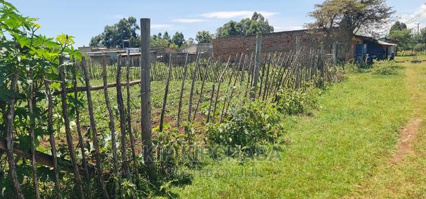 Plot For Sale Chepkoilel Touching Highway In Eldoret - thumbnail 4