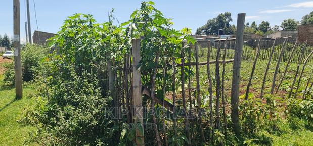 Plot For Sale Chepkoilel Touching Highway In Eldoret - thumbnail 5