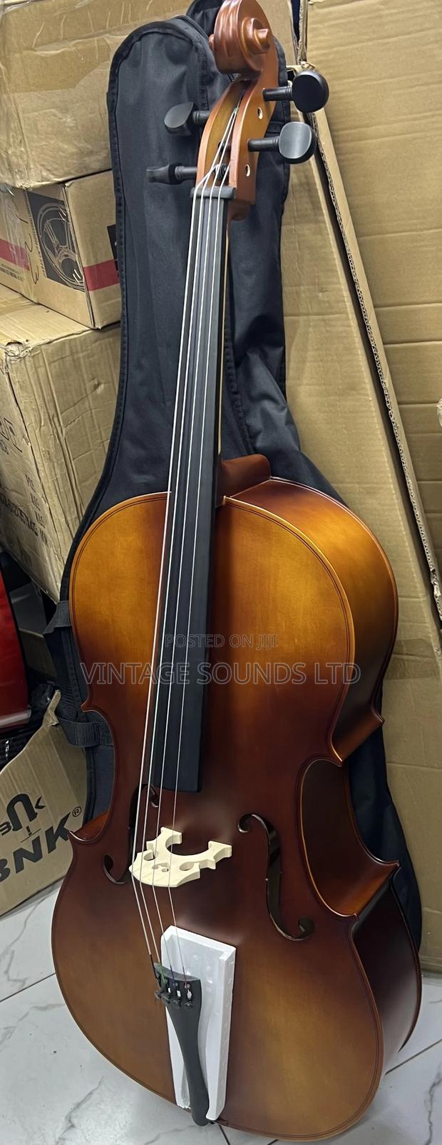 Primavera Cello Instrument - main view