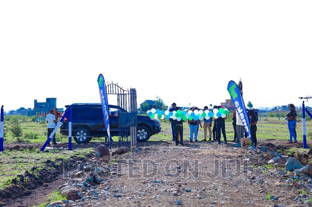 Kamakis Kiratina at 2M^Me - main view