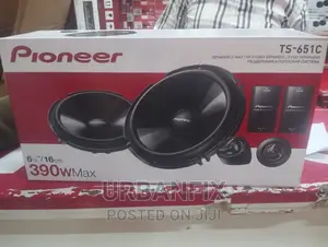 Pioneer TS-651C 390 Watts Components