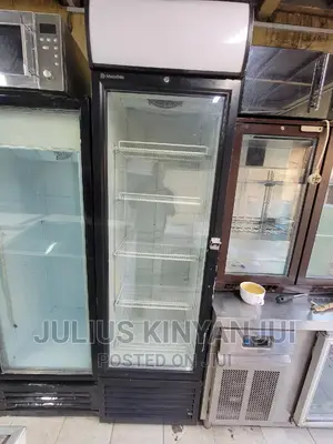 Display Fridge 500l