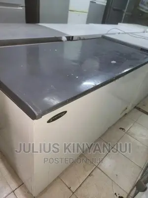 Deep Freezer 400L
