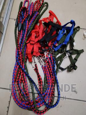 Dog Leash Dog Leash Dog Leash With Harness - thumbnail 2