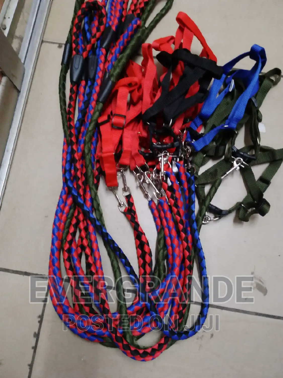 Dog Leash Dog Leash Dog Leash