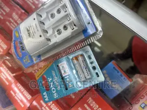 Rechargeable Battery Plus Charger