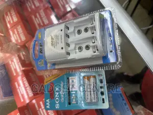 Rechargeable Battery Plus Charger