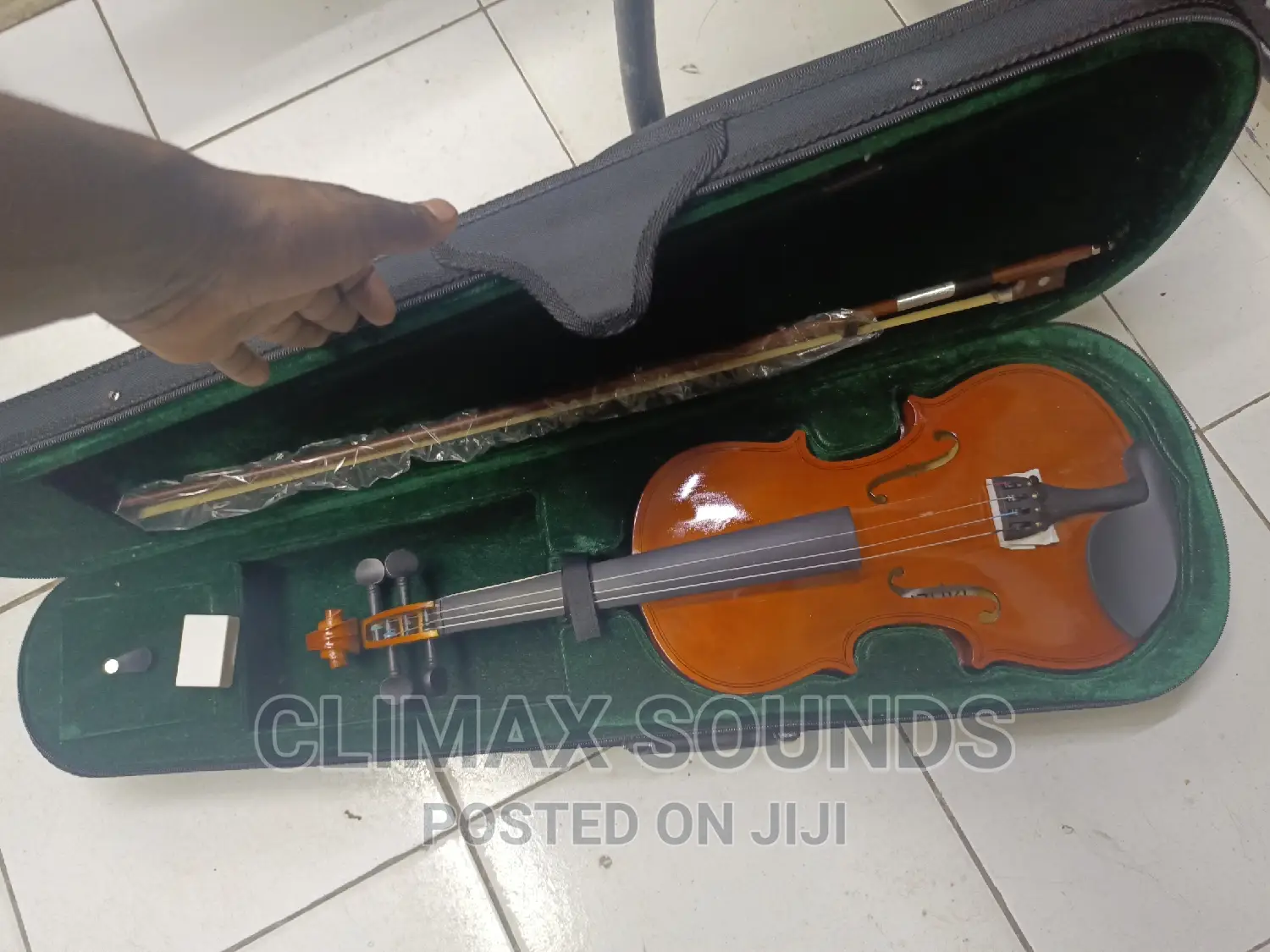 Violins Suzuki 4/4 Sz Available