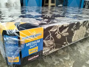 Cloud Surfing! 6inch,3.5 * 6. Medium Density Mattresses.