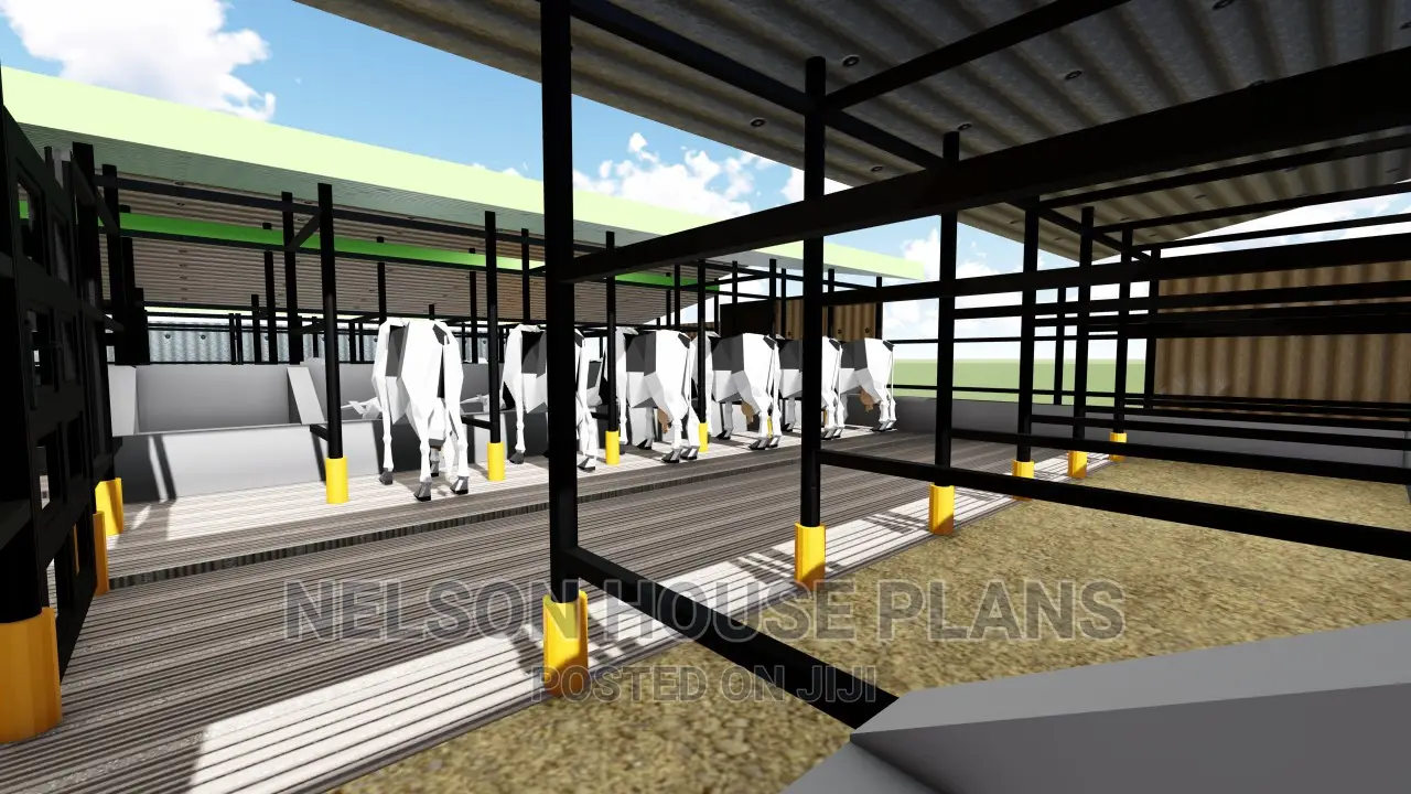 Modern Zero Grazing Units Design Plans Kenya