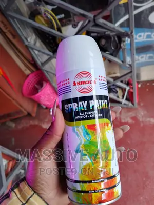 White Spray Paint/ Best Match Car Spray Paint