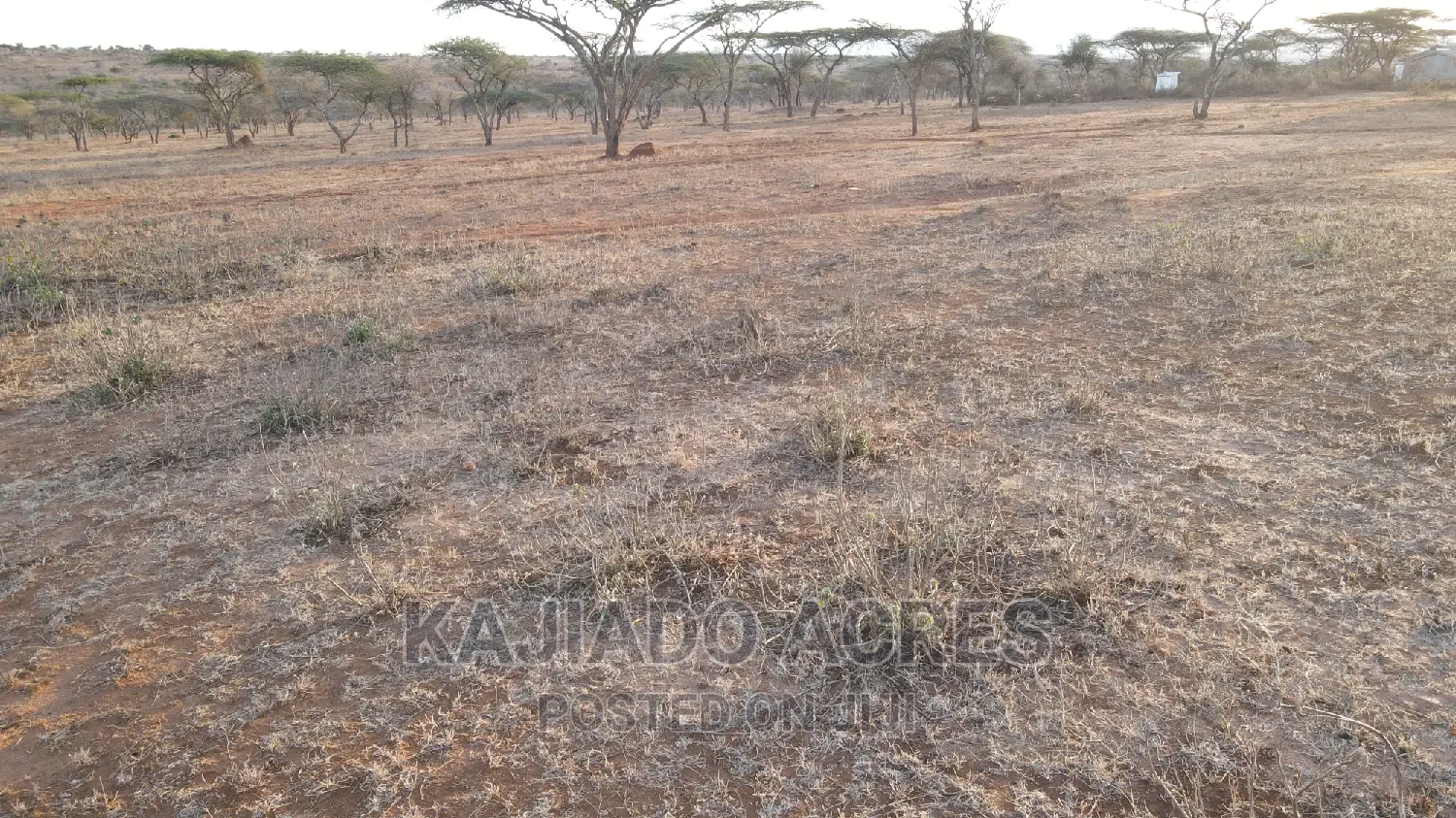 Sajiloni 24 Acre at 1.4m Per Acre