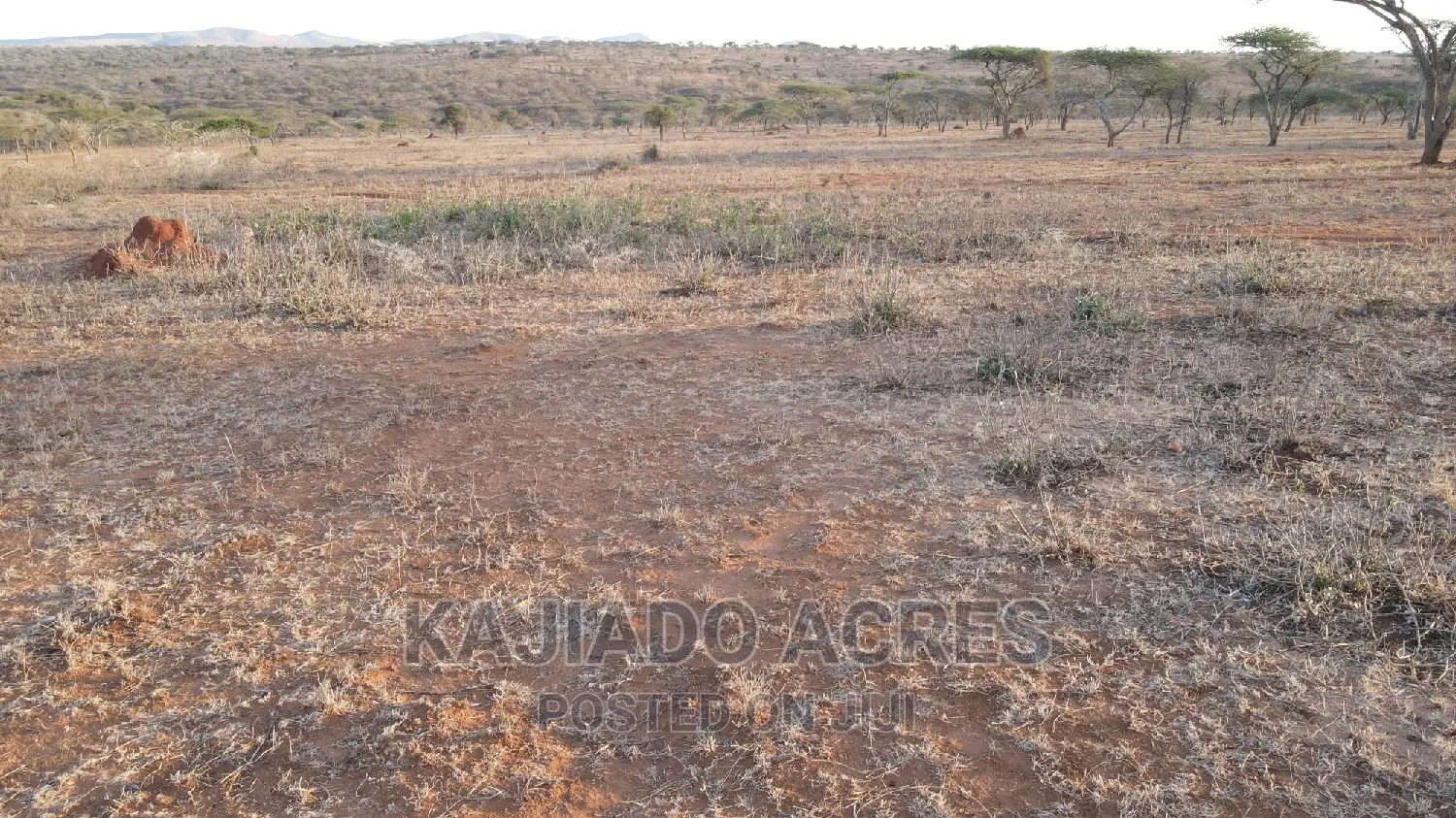 Sajiloni 24 Acre at 1.4m Per Acre