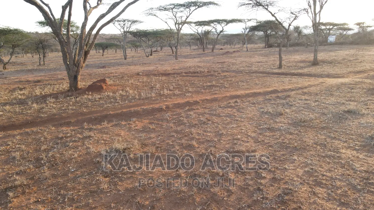 Sajiloni 24 Acre at 1.4m Per Acre
