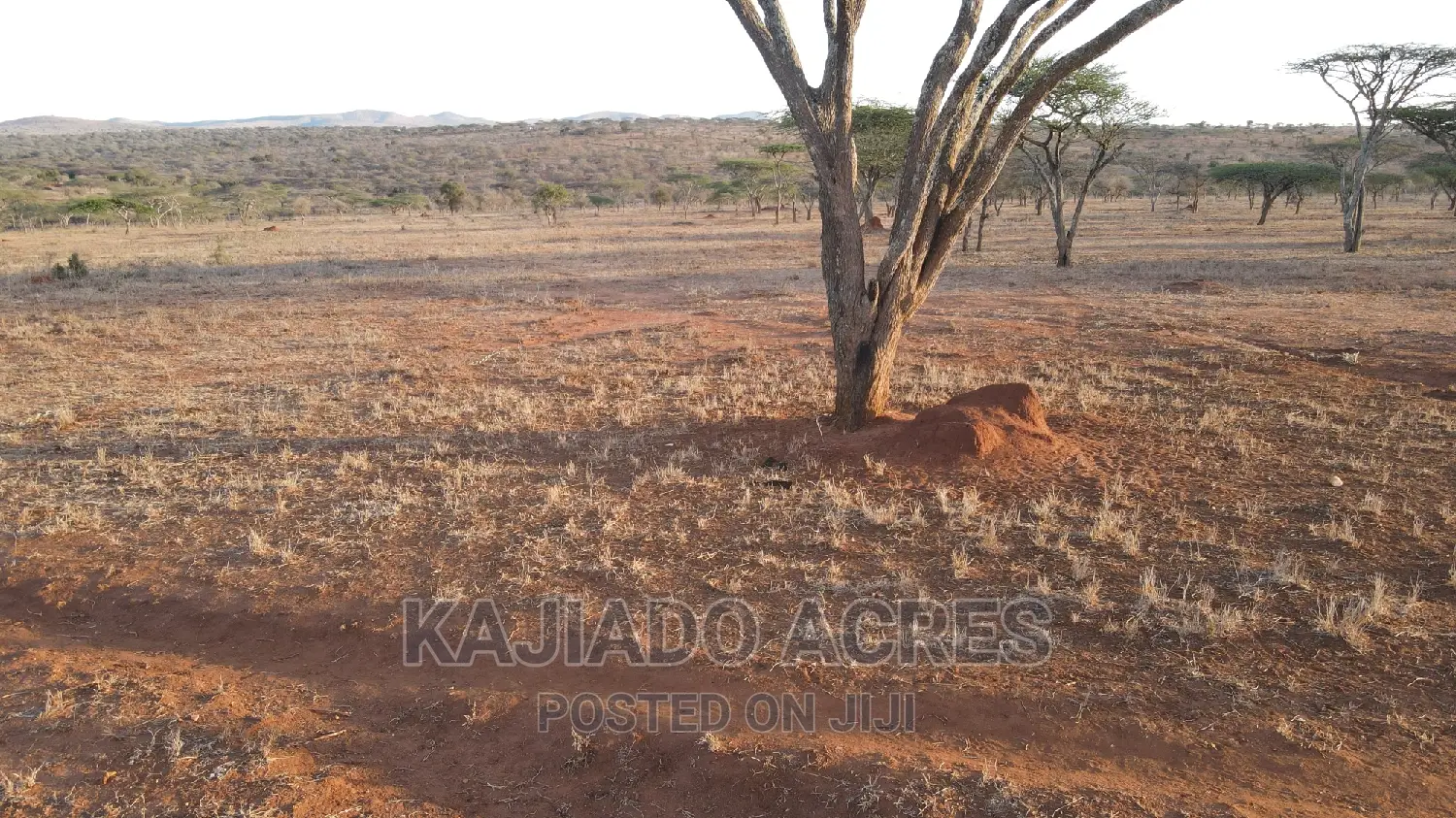 Sajiloni 24 Acre at 1.4m Per Acre