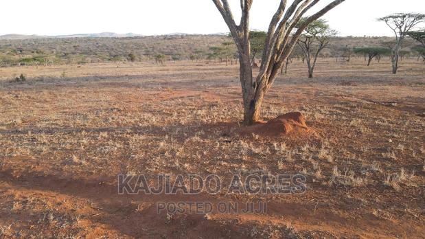 Sajiloni 24 Acre at 1.4m Per Acre - thumbnail 7