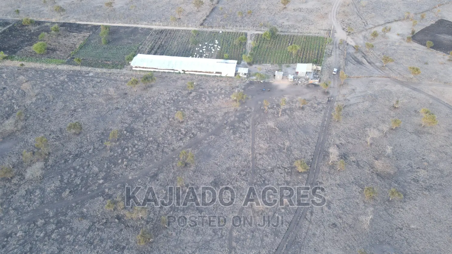 7 Acre and 10 Acres Inkinye