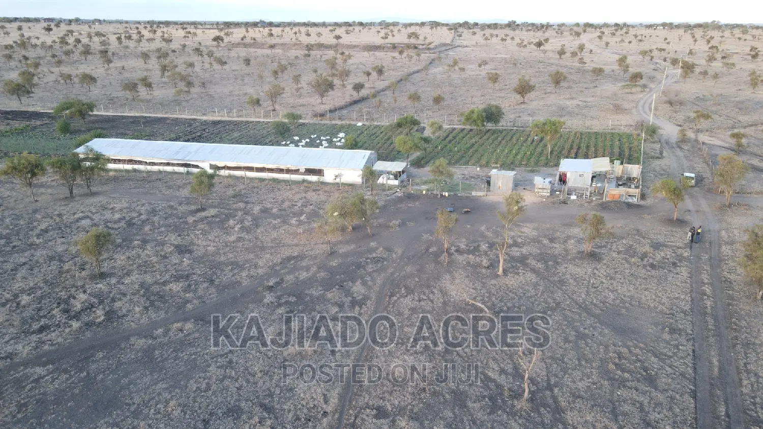 7 Acre and 10 Acres Inkinye