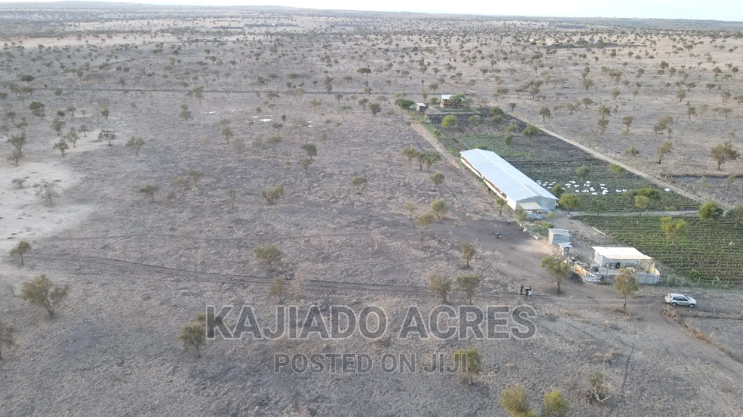 7 Acre and 10 Acres Inkinye