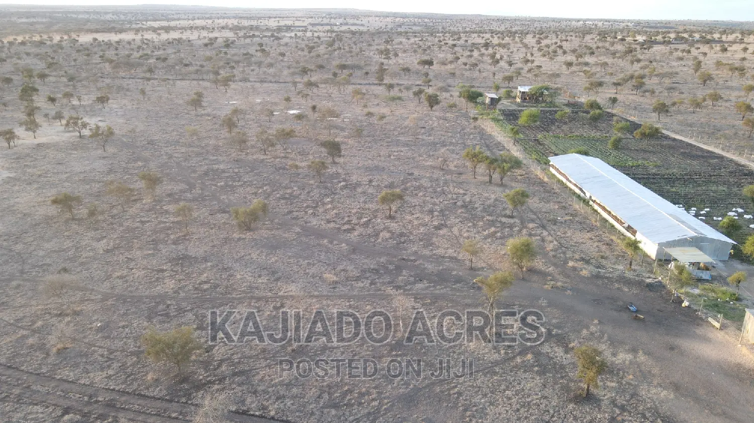 7 Acre and 10 Acres Inkinye