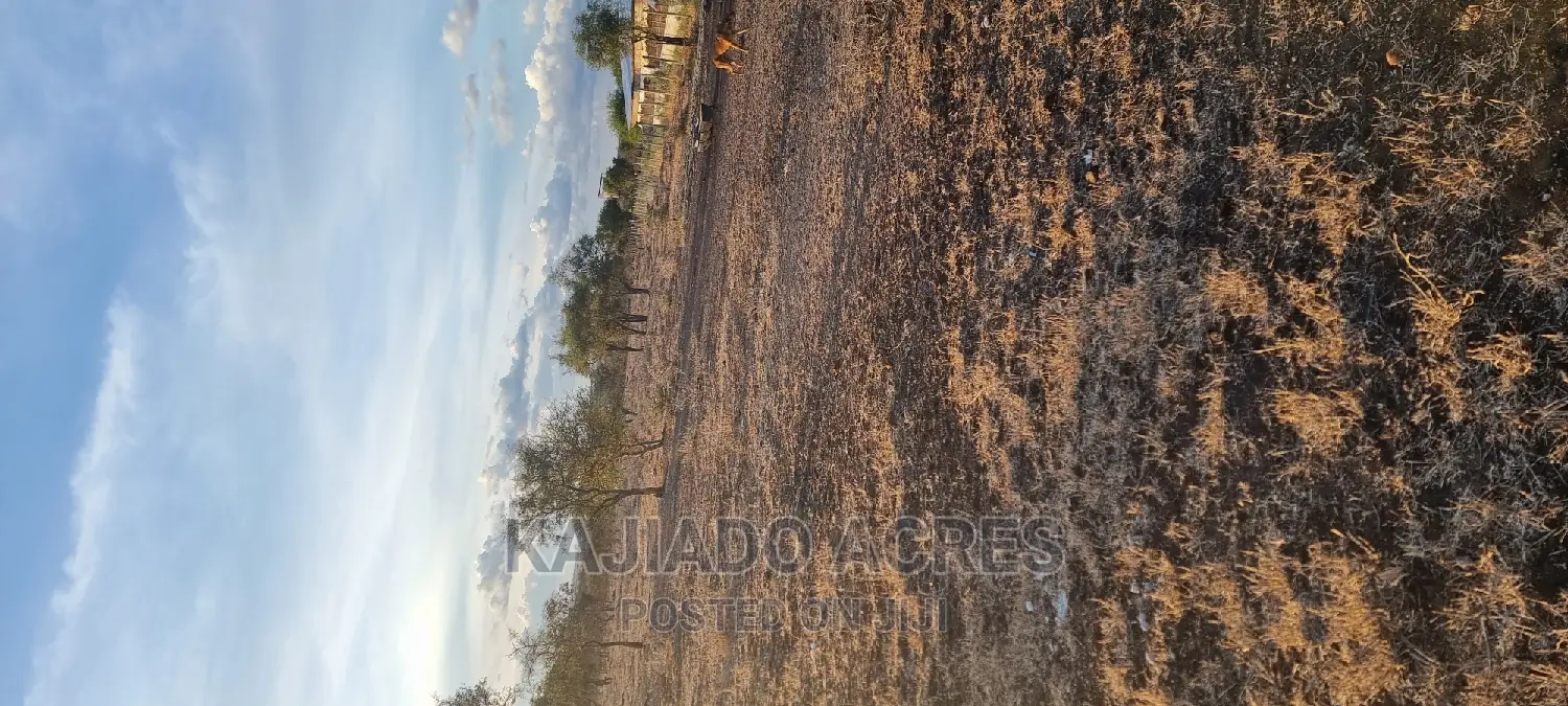7 Acre and 10 Acres Inkinye