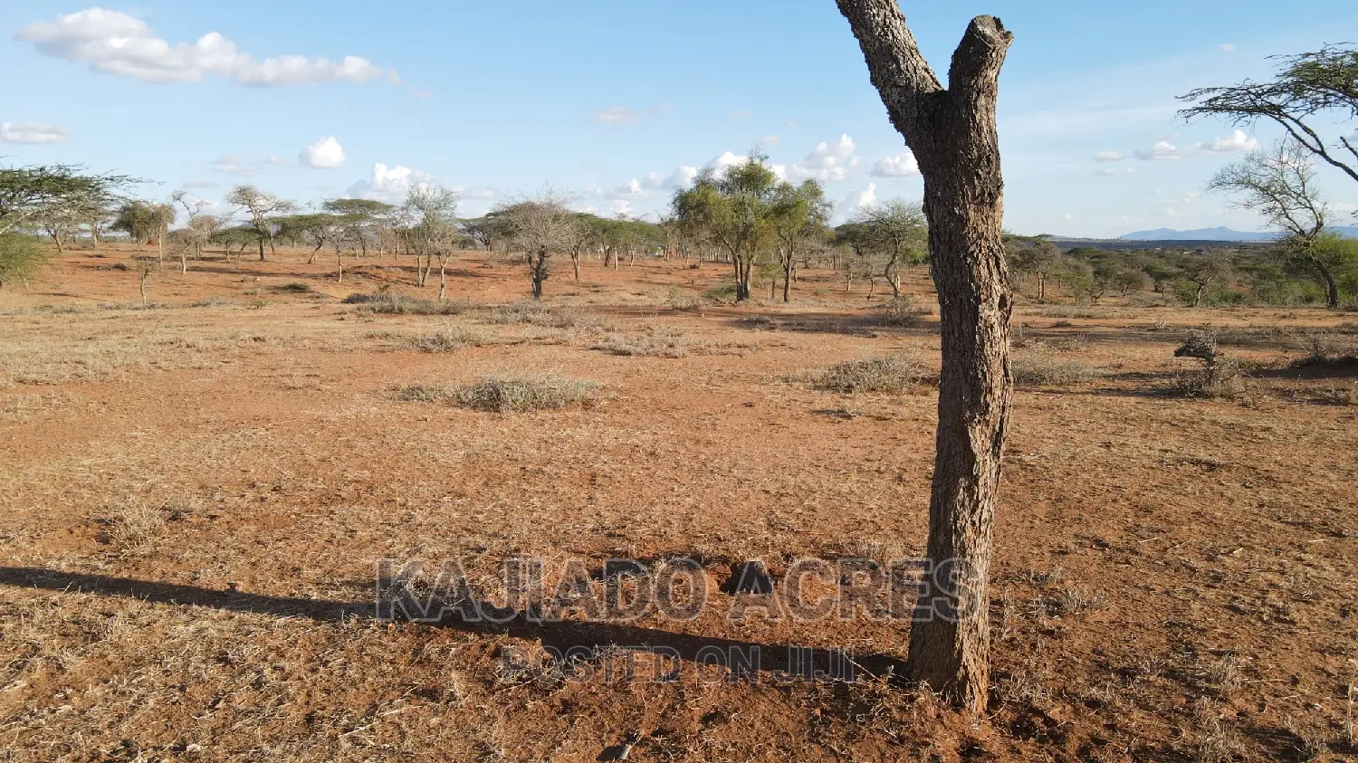Sajiloni 24 Acre at 1.4m Per Acre